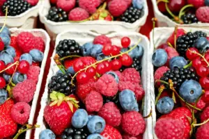 berries fructe de padure