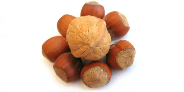 Mangan