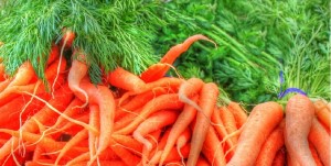 Morcovii - beneficii pentru sanatate, calorii, vitamine