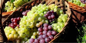 Strugurii - beneficii pentru sanatate, compozitie si calorii