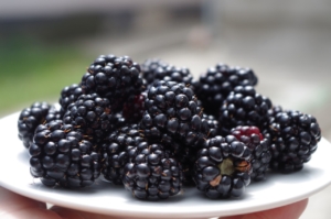 blackberries-mure-farfurie