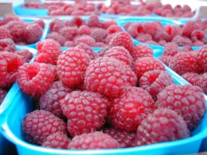 raspberries zmeura calorii proprietati beneficii