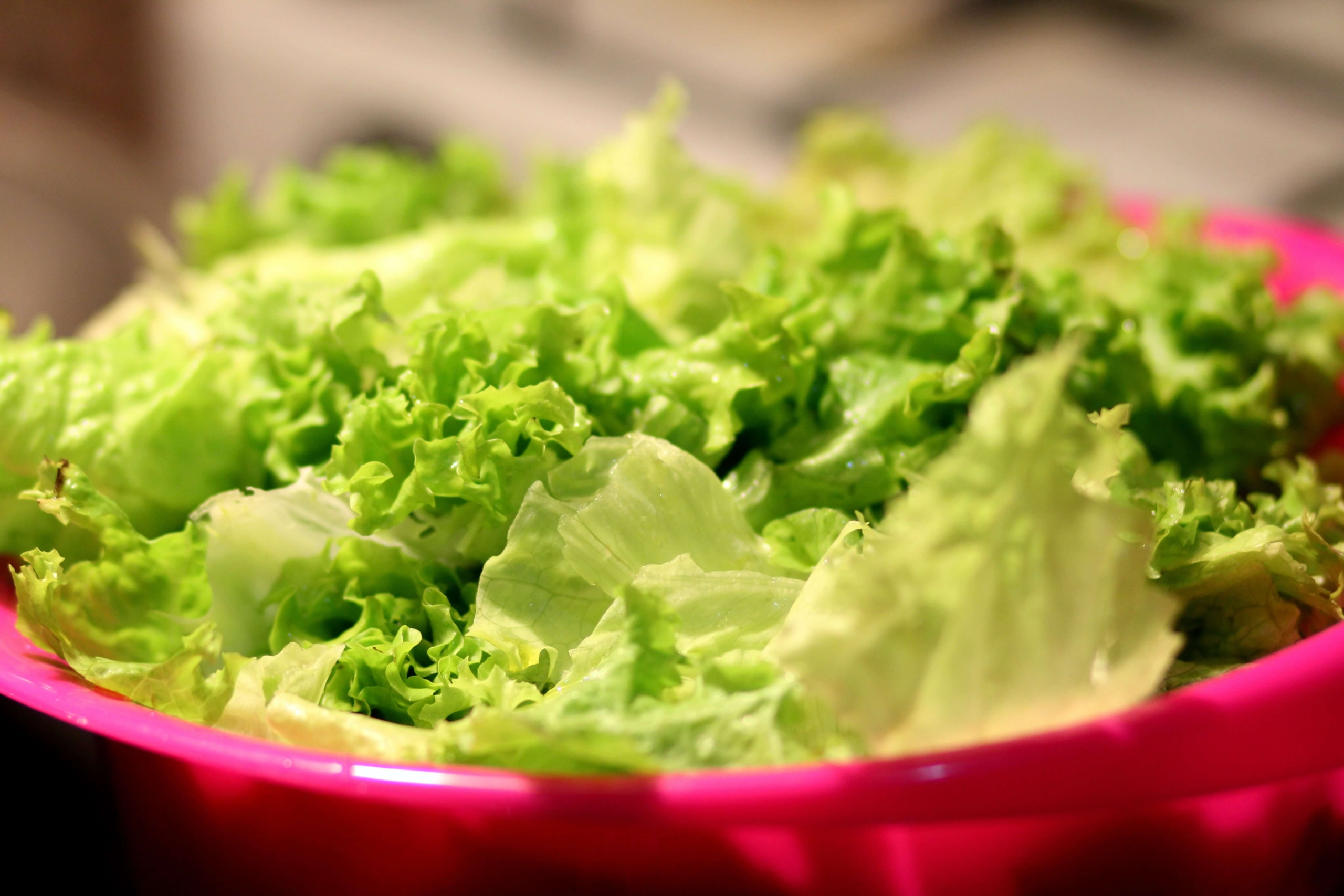 salata verde lettuce valori nutritionale