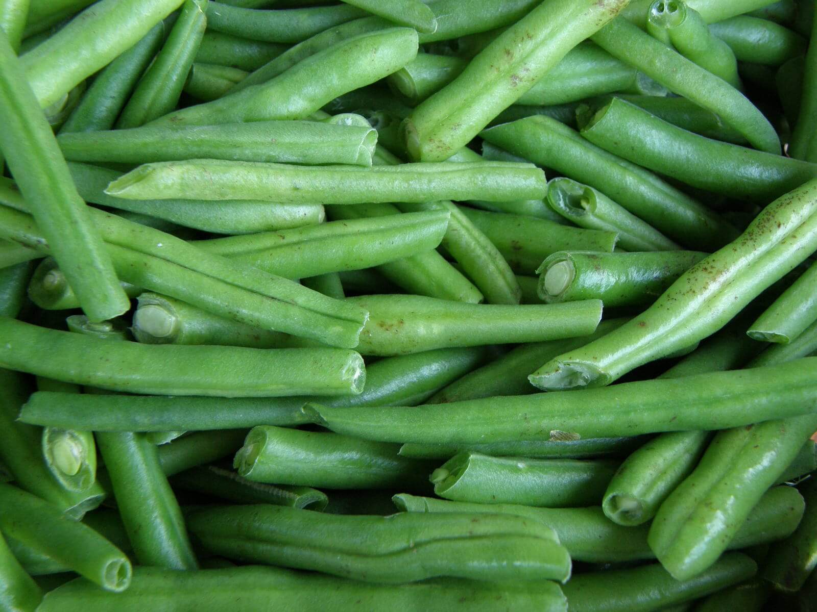 fasole verde pastai - green beans