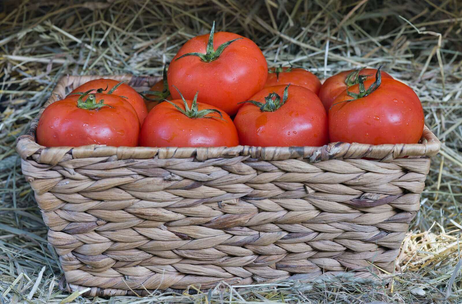 licopen tomate rosii beneficii surse