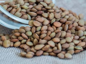 linte beneficii valori nutritionale, calorii, fibre, proteine