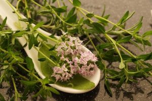 cimbru beneficii medicale, proprietati si valori nutritionale