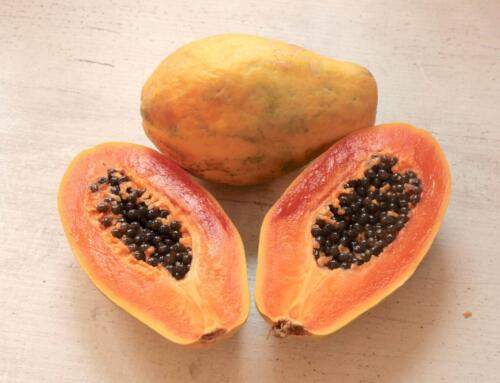 Papaya